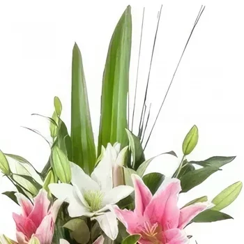 Zaragoza flowers  -  Whispering Lily Garden Flower Bouquet/Arrangement