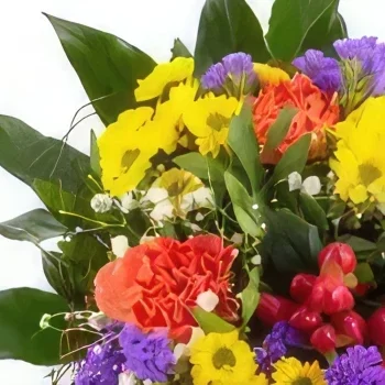 Nurnberg rože- Cvetlični lonec Cvet šopek/dogovor