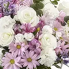 Garhoud flowers  -  Blooming Beauty  Flower Bouquet/Arrangement