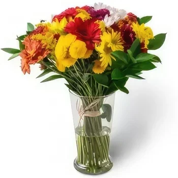 Belém kvety- Veľké usporiadanie farebné kvety črepníkové p Aranžovanie kytice