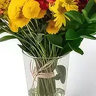 Chile flowers  -  Large Arrangement of Colorful Potted Field Fl Flower Bouquet/Arrangement