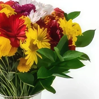fleuriste fleurs de Fortaleza- Grand arrangement des fleurs colorées de cham Bouquet/Arrangement floral