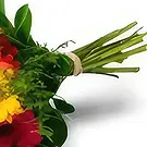 Amsterdam flowers  -  African daisy. Flower Bouquet/Arrangement