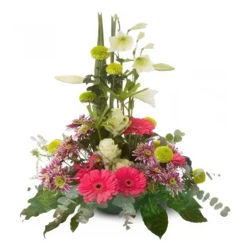 Benalmadena blomster- Bloom Bliss Gerbera Hub Blomsterarrangementer bukett