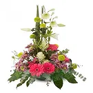 Cala Llonga flowers  -  Bloom Bliss Gerbera Hub Flower Bouquet/Arrangement