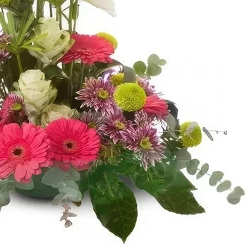 Benalmadena blomster- Bloom Bliss Gerbera Hub Blomsterarrangementer bukett