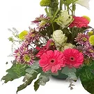 Cala Llonga flowers  -  Bloom Bliss Gerbera Hub Flower Bouquet/Arrangement