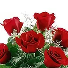 Bacevo Blumen Florist- Rocke das Rote Bouquet/Blumenschmuck