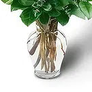 Bacevo Blumen Florist- Rocke das Rote Bouquet/Blumenschmuck