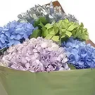Cala Llonga flowers  -  Chroma Bloom Flower Bouquet/Arrangement
