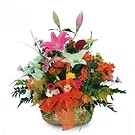 Cala Llonga flowers  -  Blooming Spring Medley Flower Bouquet/Arrangement
