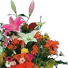Cala Llonga flowers  -  Blooming Spring Medley Flower Bouquet/Arrangement