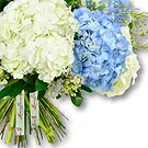بائع زهور الشارقة- باقة زهور الكوبية الزرقاء والبيضاء باقة الزهور