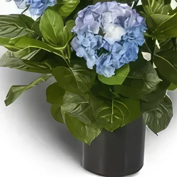Trondheim cvijeća- Plava oceanska hortenzija Cvjetni buket/aranžman