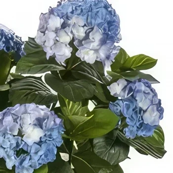 Trondheim cvijeća- Plava oceanska hortenzija Cvjetni buket/aranžman