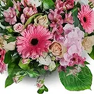 Valladolid çiçek- Kızaran Bella Blooms Çiçek buketi/düzenleme
