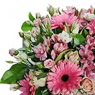 Valladolid çiçek- Kızaran Bella Blooms Çiçek buketi/düzenleme