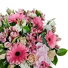 Valladolid çiçek- Kızaran Bella Blooms Çiçek buketi/düzenleme
