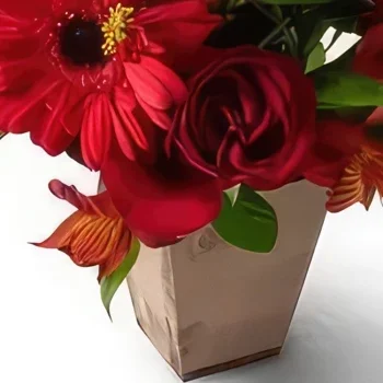 Salvador kukat- Sekoitettu punainen kukka-asetelma Kukka kukkakimppu