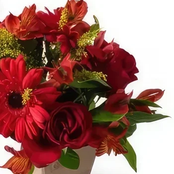 브라질리아 꽃- 혼합 된 붉은 꽃 배열 꽃다발/꽃꽂이