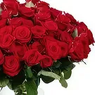 Amsterdam flowers  -  Passionate Love in Bloom Flower Bouquet/Arrangement