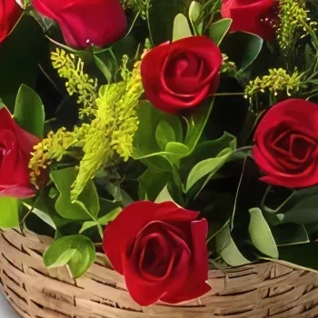 fortaleza kukat- Kori 28 punaisella ruusulla Kukka kukkakimppu