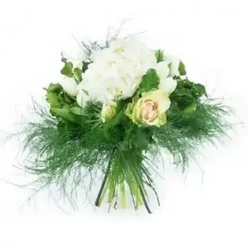 אלבי-סור-צ'רן פרחים- זר פרחים הורטנס פרח משלוח