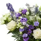 Tilburg Blumen Florist- Blumenstrauß Kemi Bouquet/Blumenschmuck