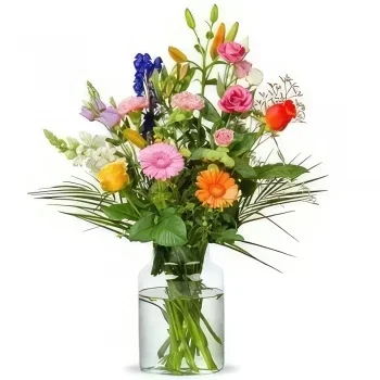 Ρότερνταμ λουλούδια- Μπουκέτο Κική Μπουκέτο/ρύθμιση λουλουδιών