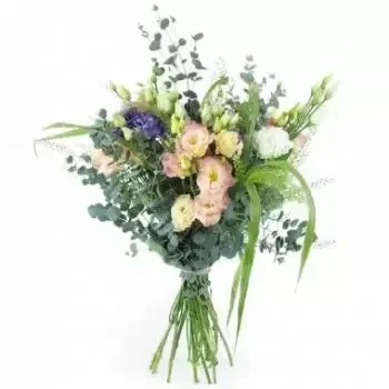 Ahaxe-Alciette-Bascassan kukat- Pitkä maalaismainen ja pastellikimppu Strasbo Kukka Toimitus