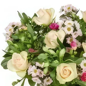 Ρότερνταμ λουλούδια- Μπουκέτο Νόρα Μπουκέτο/ρύθμιση λουλουδιών
