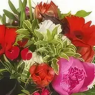 Pech flowers  -  Bouquet of flowers Penelope Flower Bouquet/Arrangement