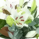 Alle andre byer blomster- Buket liljer og hvide blomster Brugge Blomst buket/Arrangement