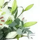 Alle andre byer blomster- Buket liljer og hvide blomster Brugge Blomst buket/Arrangement