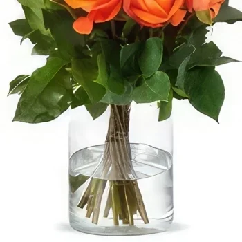 Eindhoven Blumen Florist- Strauß orangefarbener Rosen Bouquet/Blumenschmuck