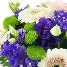 Dumbéa (Dumbéa) blomster- Buket med lyserøde og lilla blomster Nantes Blomst buket/Arrangement
