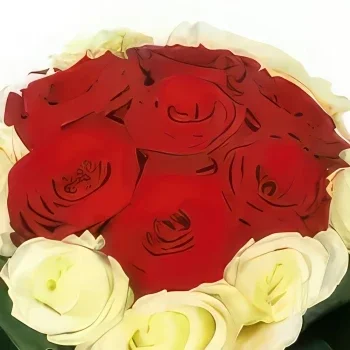 بائع زهور مونبلييه- باقة من الورد الأحمر والأبيض باقة الزهور
