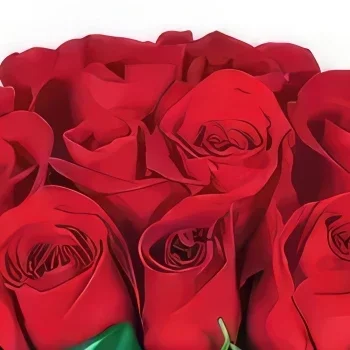 fiorista fiori di bordò- Bouquet di rose rosse Brazilia Bouquet floreale