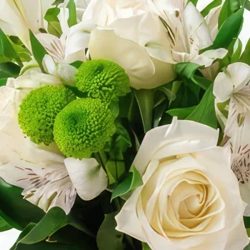 Braсilia cveжe- Аranžman ruža i Асtromelije u vazi i �?okolad Cvet buket/aranžman