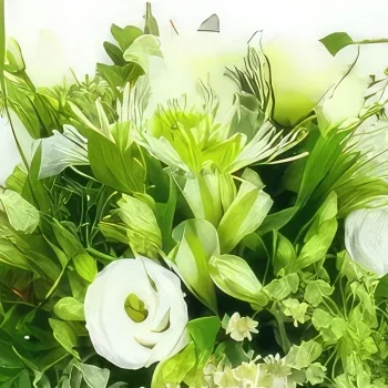 いいね 花- 素朴で白い花の花束 Ajaccio 花束/フラワーアレンジメント