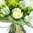Le François flowers  -  Bouquet of white flowers Clarity Flower Bouquet/Arrangement