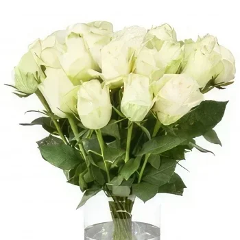 רוטרדם פרחים- זר ורדים לבנים זר פרחים/סידור פרחים