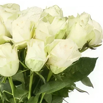 Groningen blomster- Buket hvide roser Blomst buket/Arrangement