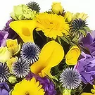 Paris Blumen Florist- Bouquet von gelben und lila Blumen Antoine Bouquet/Blumenschmuck