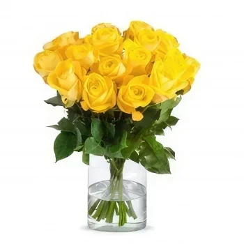 רוטרדם פרחים- זר ורדים צהובים זר פרחים/סידור פרחים