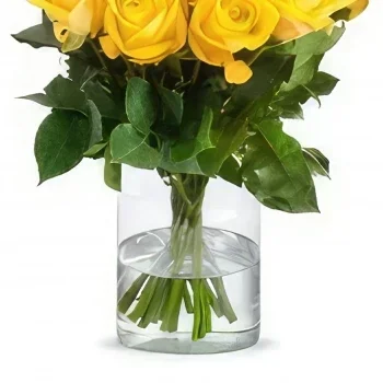 بائع زهور المير- باقة من الورود الصفراء باقة الزهور