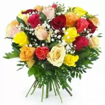 קייס-פיילוט פרחים- זר עגול צבעוני של ברצלונה פרח משלוח