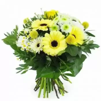 Aigrefeuille-d'Aunis kvety- Pražská žlto-biela okrúhla kytica Kvet Doručenie
