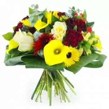 بائع زهور جوادلوب- باقة مدريد صفراء وحمراء مستديرة زهرة التسليم