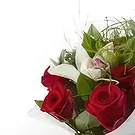Sofia flowers  -  Cherished Spirits Flower Bouquet/Arrangement